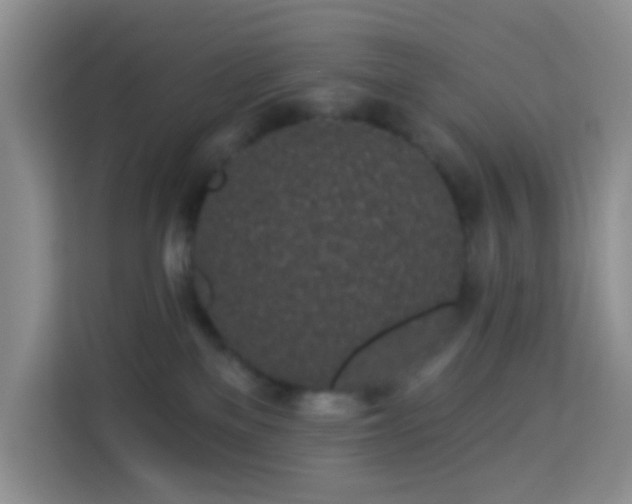 X0000114070137200910051346