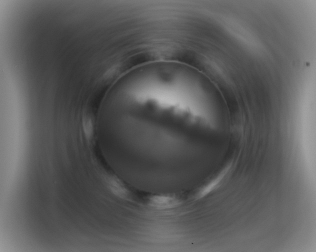 X0000114070139200910051346