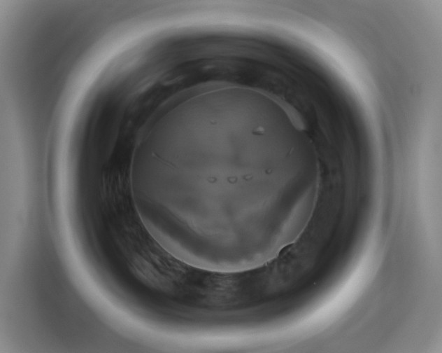 X0000114070143200910051346