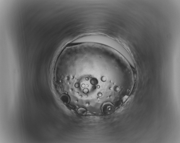 X0000114070145200910051345