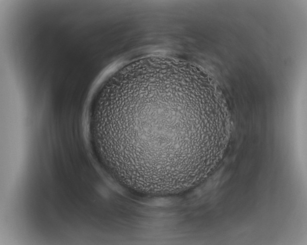 X0000114070149200910051345