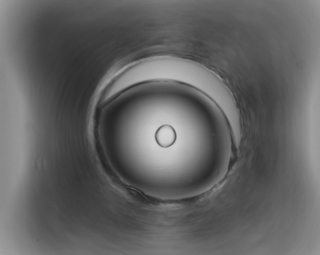 X0000114070150200910051345