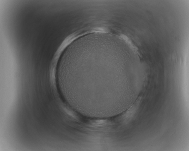 X0000114070151200910051345