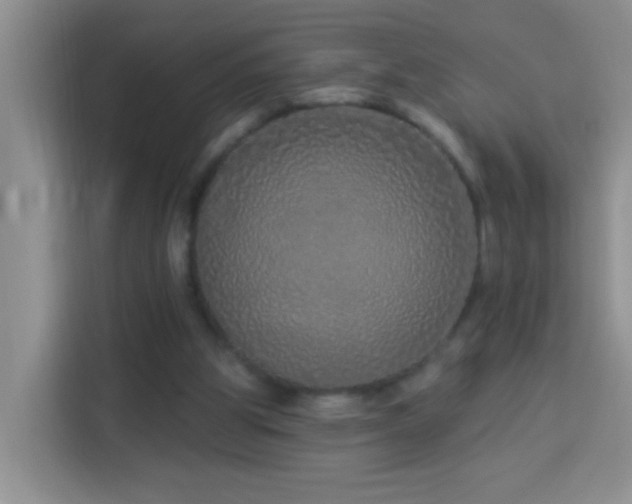 X0000114070153200910051345