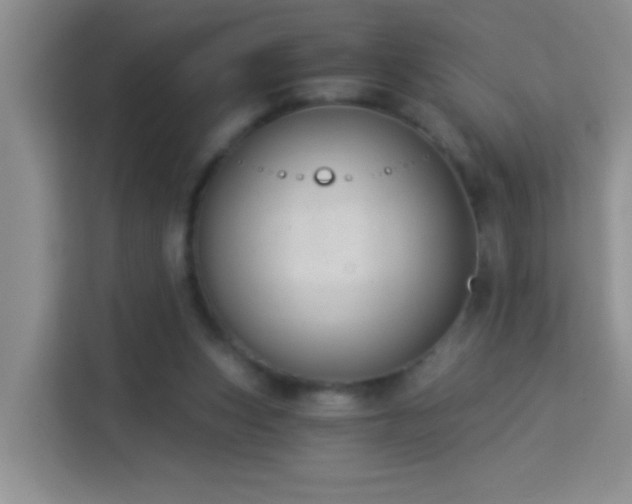 X0000114070159200910051345