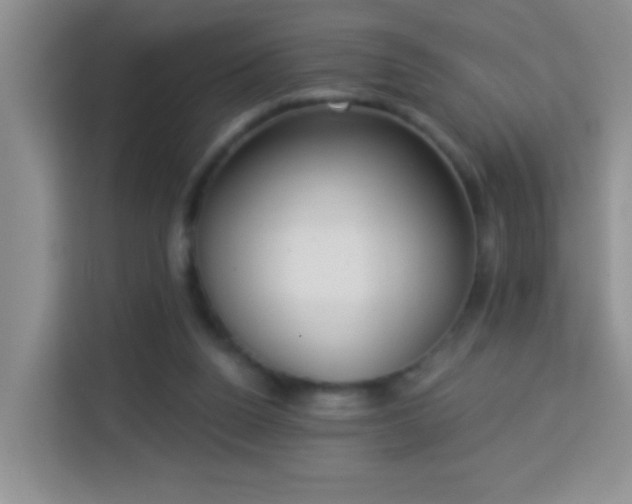 X0000114070160200910051345