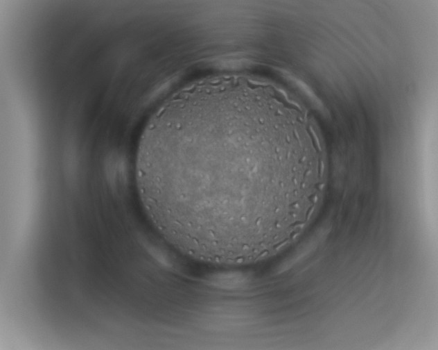 X0000114070161200910051345