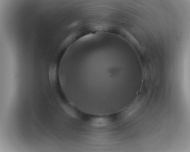 X0000114070163200910051345