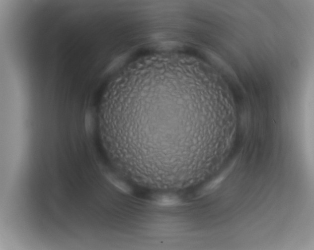 X0000114070165200910051345