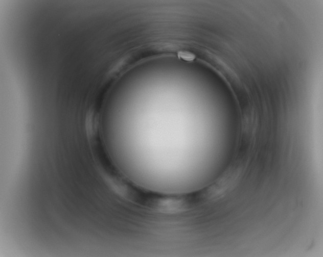 X0000114070168200910051345