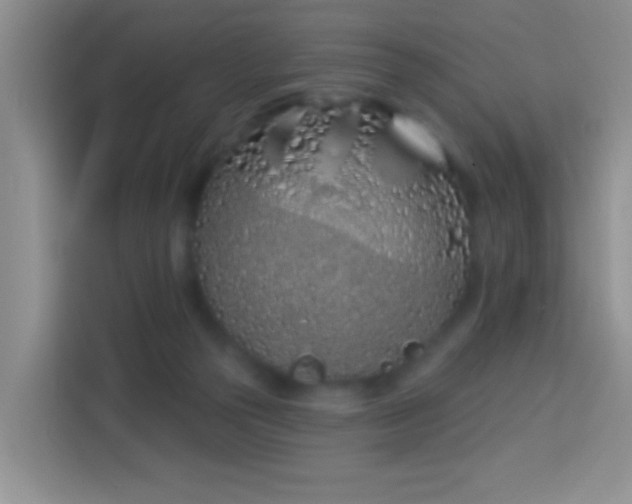 X0000114070169200910051345