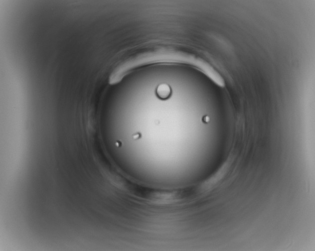 X0000114070170200910051345