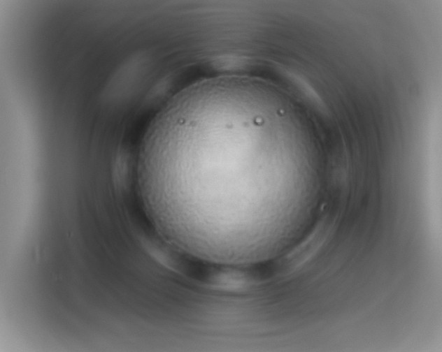 X0000114070171200910051345