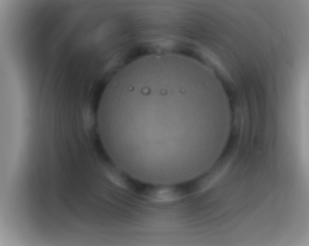 X0000114070173200910051345