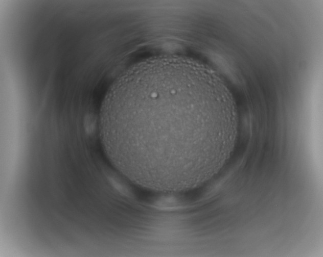 X0000114070177200910051345