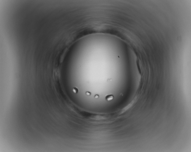 X0000114070180200910051345