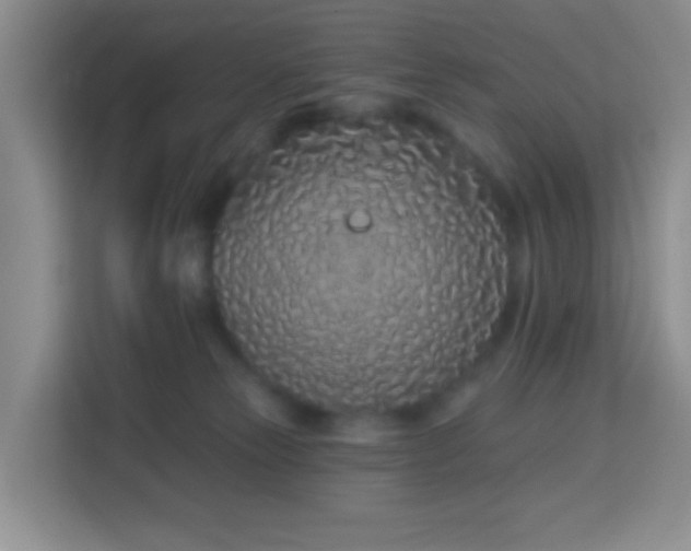 X0000114070181200910051345