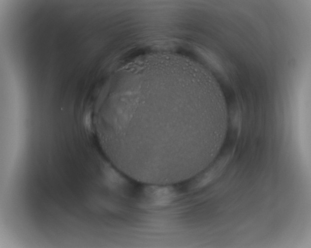 X0000114070185200910051345