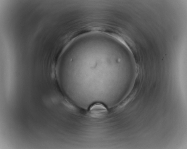 X0000114070189200910051345