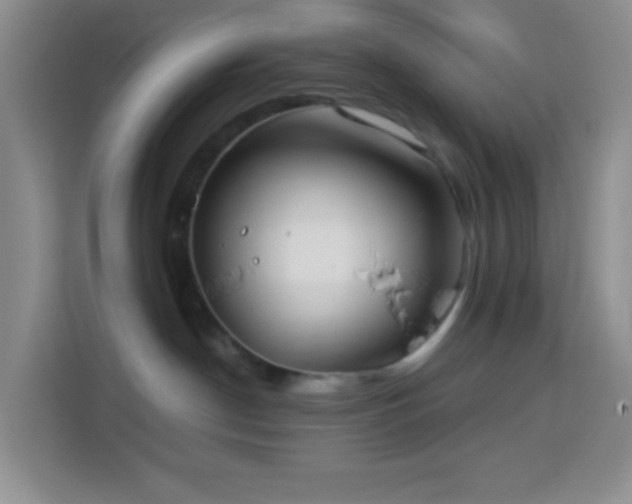 X0000114070190200910051345