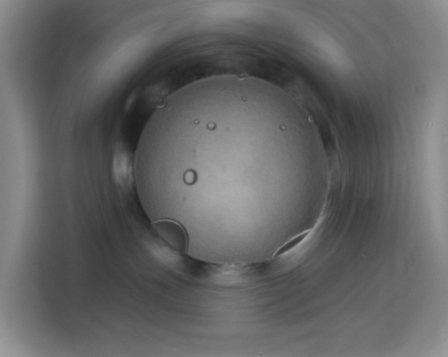 X0000114070191200910051346