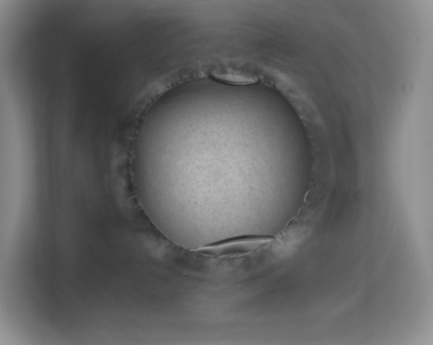 X0000114070192200910051346