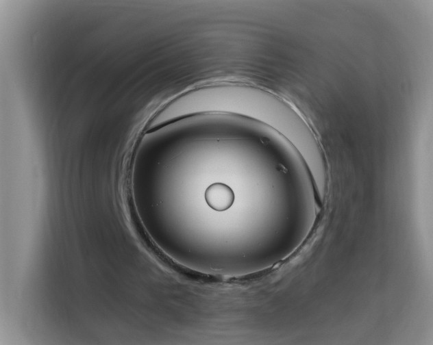 X0000114070193200910051345