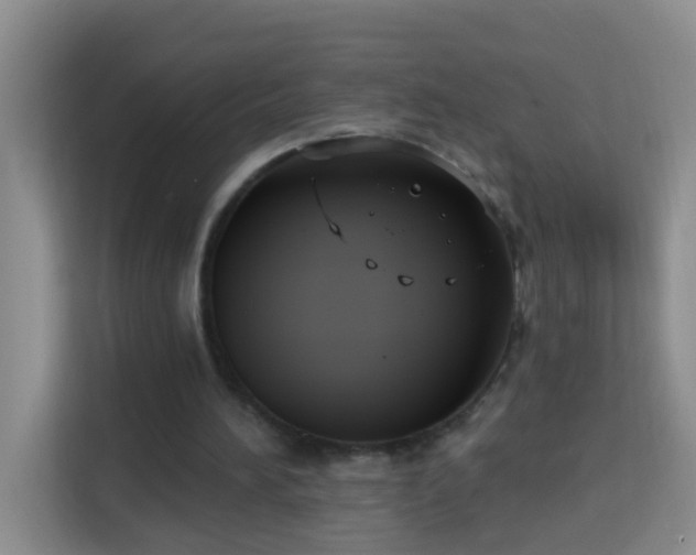 X0000114070196200910051345