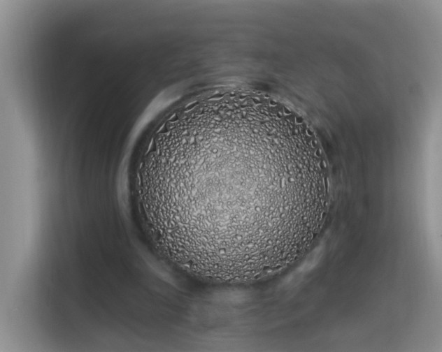 X0000114070198200910051345