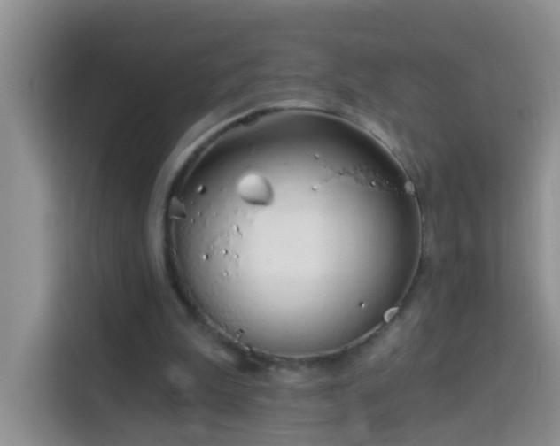 X0000114070199200910051345