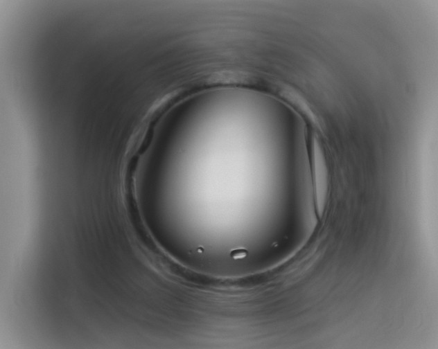 X0000114070203200910051345