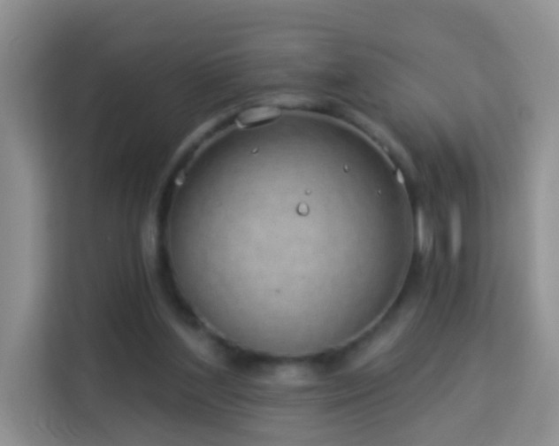 X0000114070204200910051345