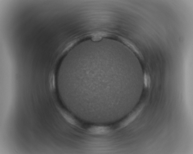 X0000114070205200910051345