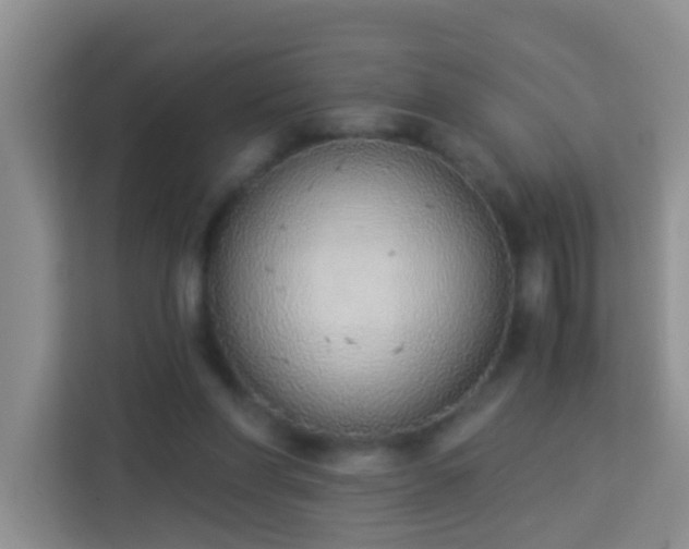 X0000114070206200910051345