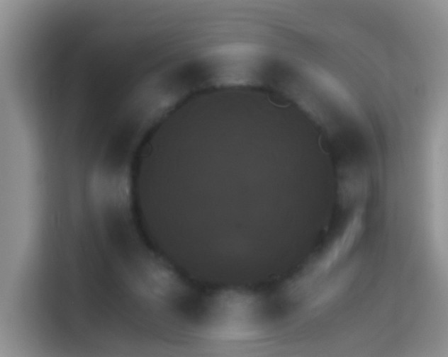 X0000114070207200910051345