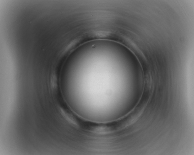 X0000114070212200910051345