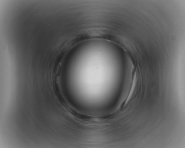 X0000114070227200910051344