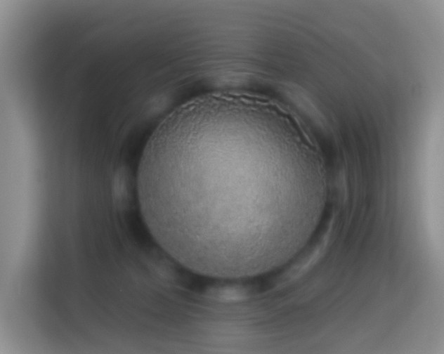 X0000114070228200910051344