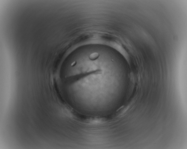 X0000114070235200910051344