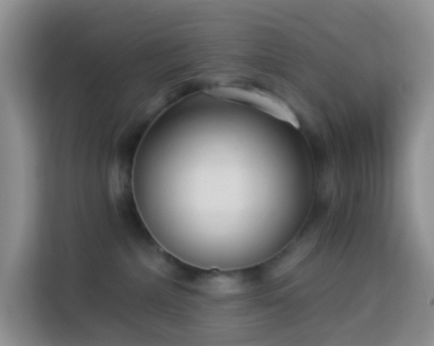 X0000114070236200910051344