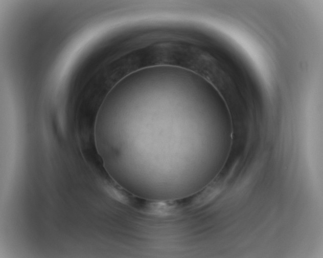 X0000114070239200910051344