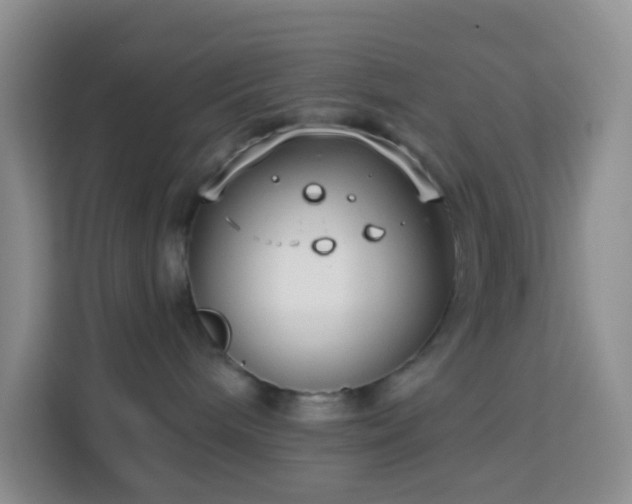 X0000114070240200910051344