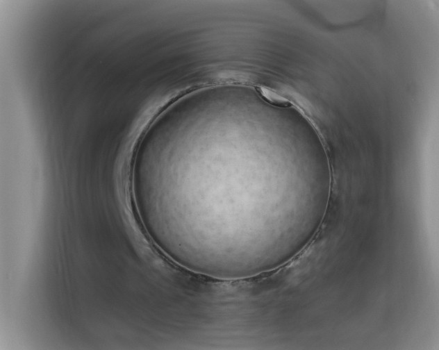 X0000114070241200910051343