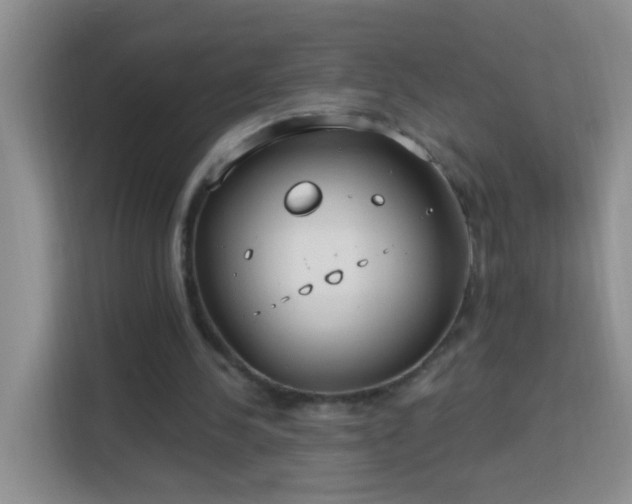 X0000114070244200910051344