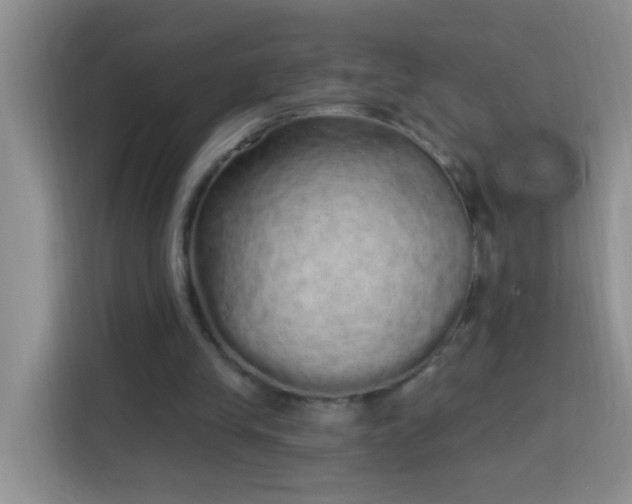 X0000114070245200910051344