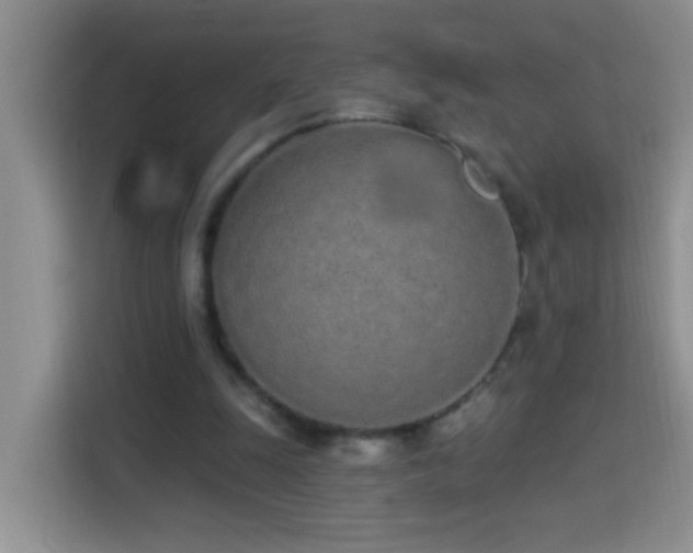 X0000114070247200910051344