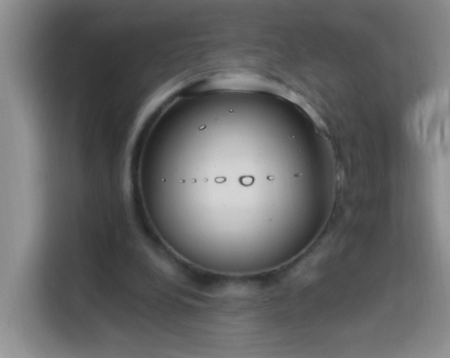 X0000114070248200910051344