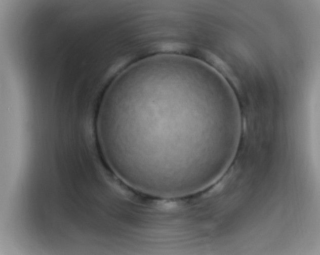 X0000114070249200910051344