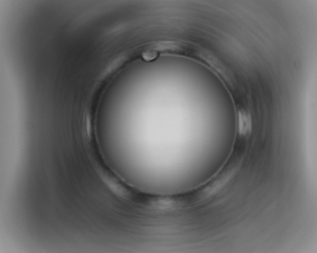 X0000114070253200910051344