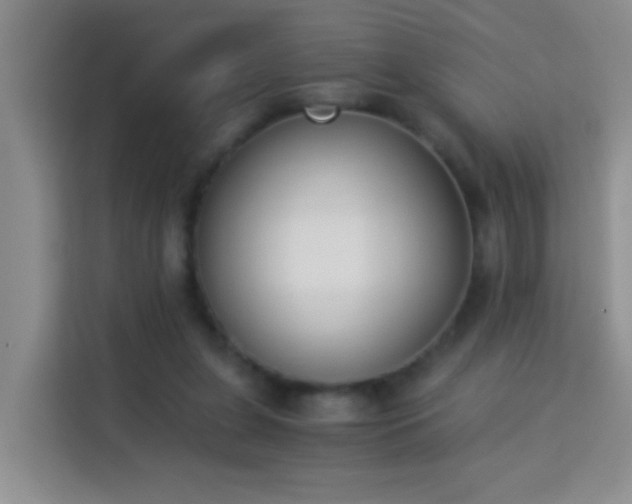 X0000114070255200910051344